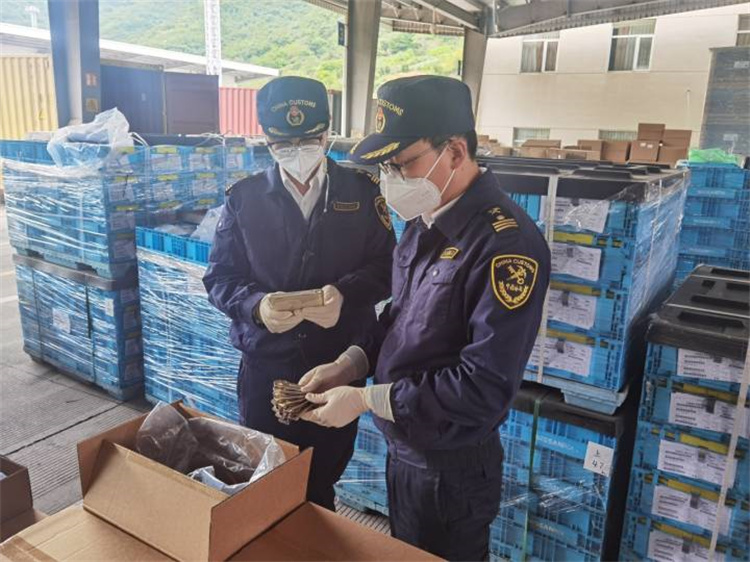 Isulong ang dayuhang kalakalan upang matiyak ang katatagan at pagbutihin ang kalidad Naglabas ang Ningbo Customs ng 20 