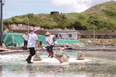 Ang una sa probinsya! Binuksan ang Xiangshan Gaotang Island town sea salt drying non genetic bearing institute