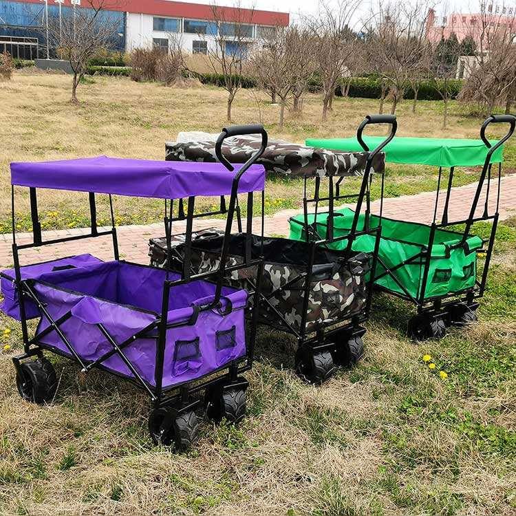 Carry Cart sa labas